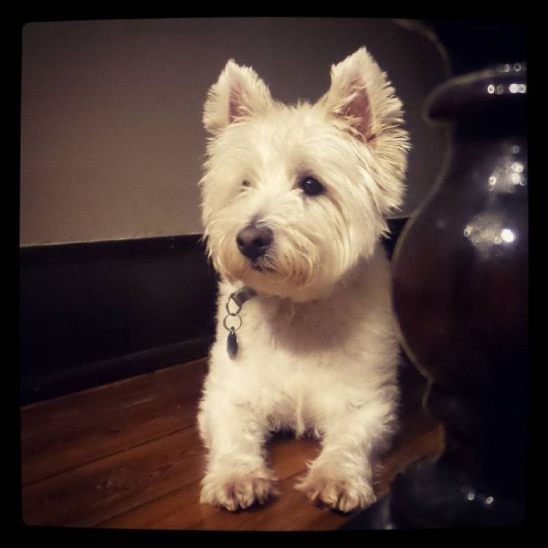 28247089820_2d82f5f439_b