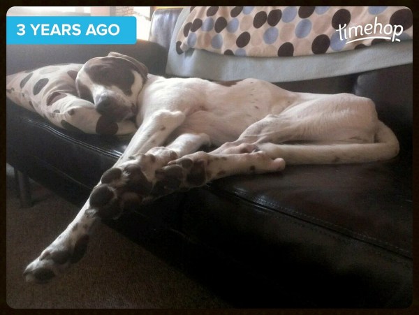 28553427706_299d535938_b