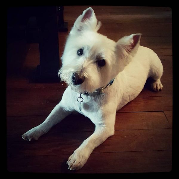 28725111644_9cb006f77a_b