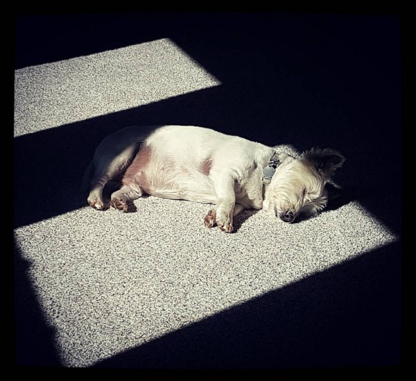 29928326673_9762f6786e_b