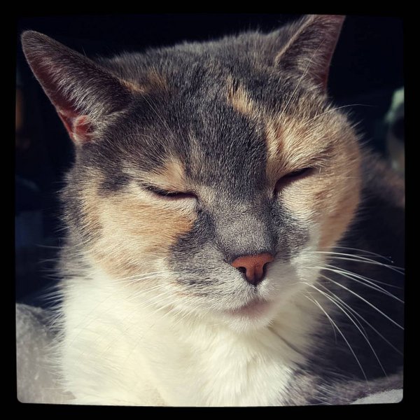 30012502174_cf443ff6a2_b