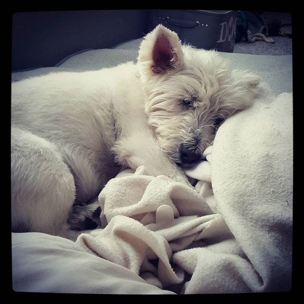 35478001031_5e5aa5fea9_b